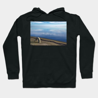 Tire on a Beach Hoodie